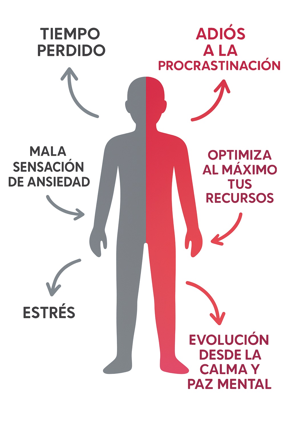 Infografia Experto Dual Infografia Experto Dual